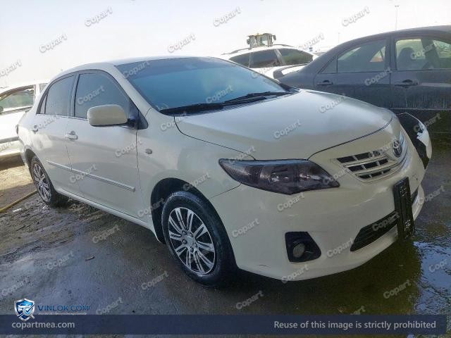 Auction photo