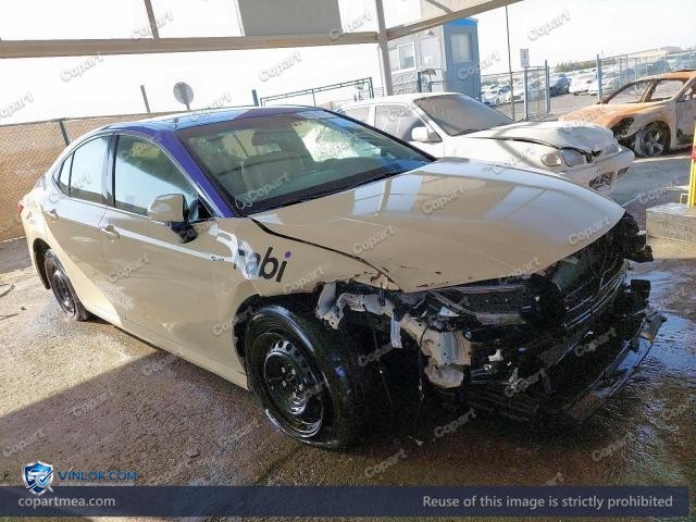 Auction photo