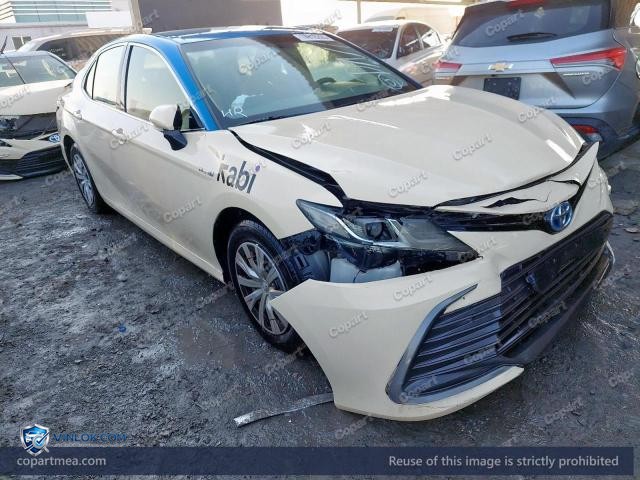 Auction photo