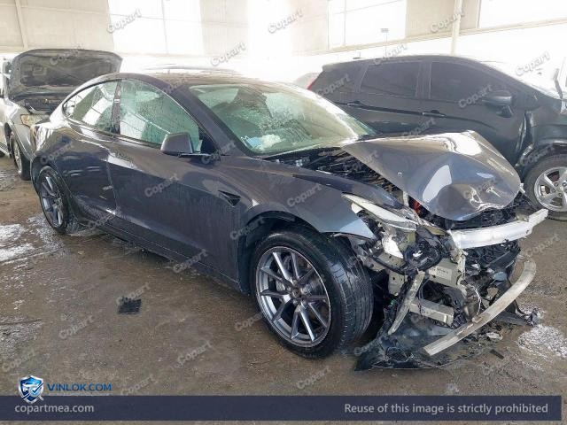Auction photo
