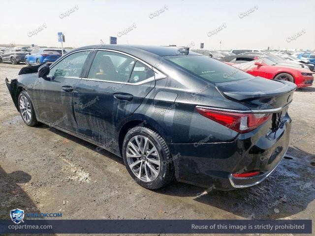 Auction photo