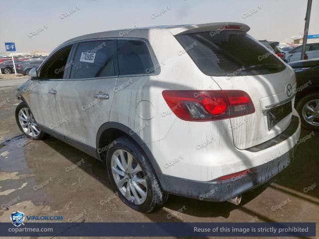 Auction photo