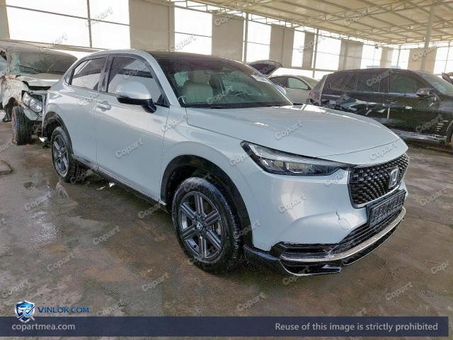 Auction photo