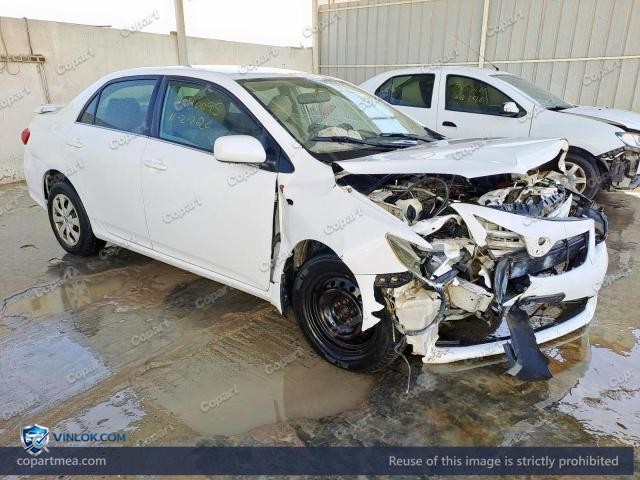 Auction photo