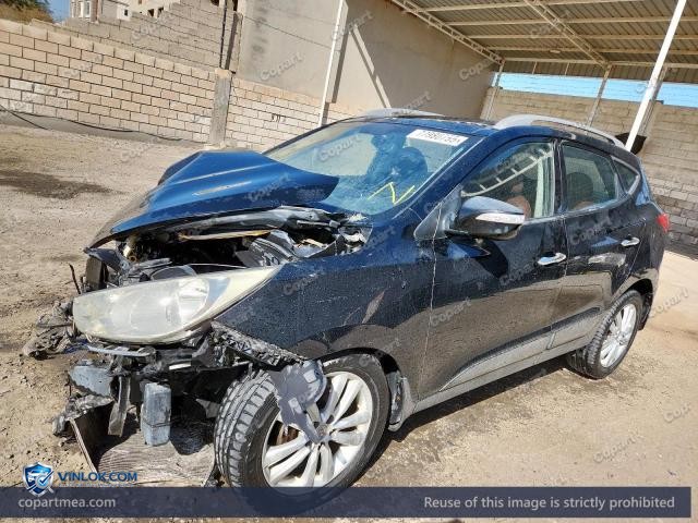 Auction photo