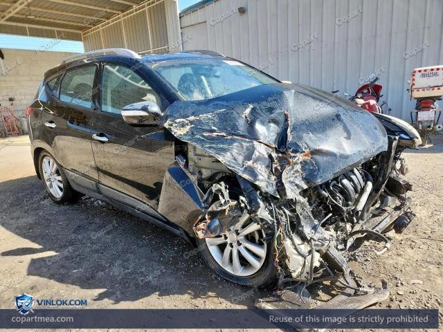 Auction photo