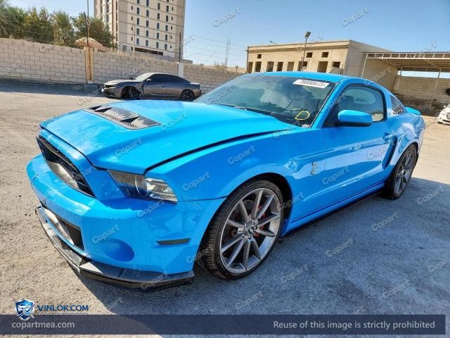Auction photo