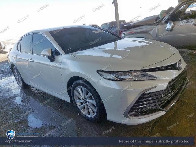 Auction photo