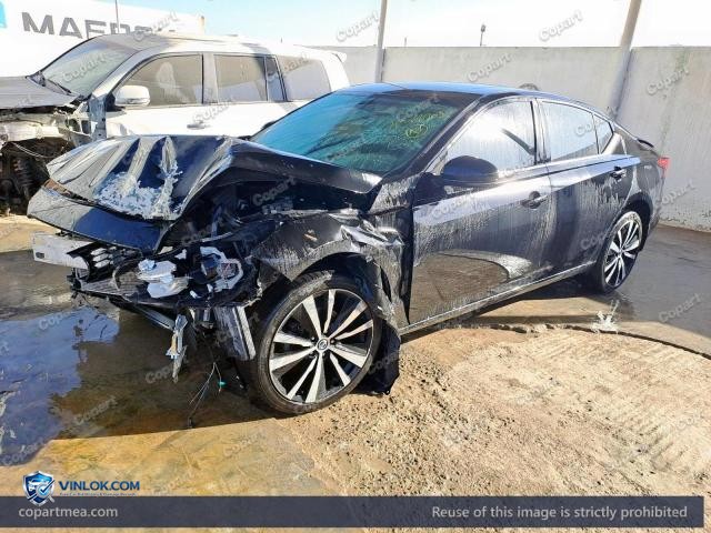 Auction photo