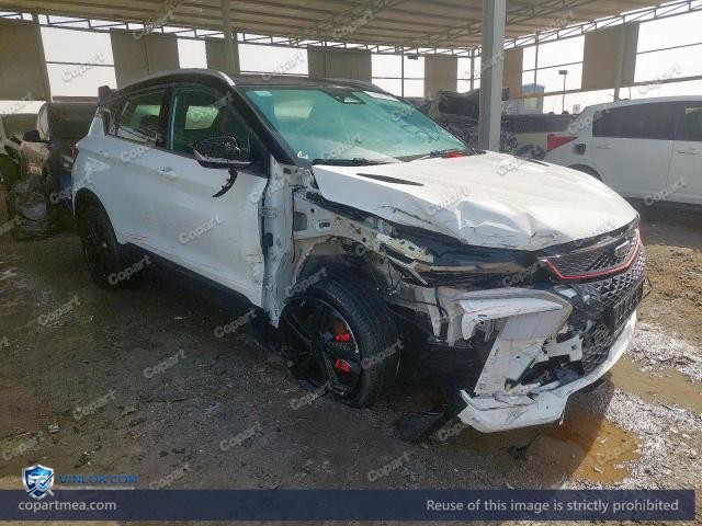 Auction photo