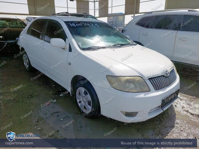 Auction photo