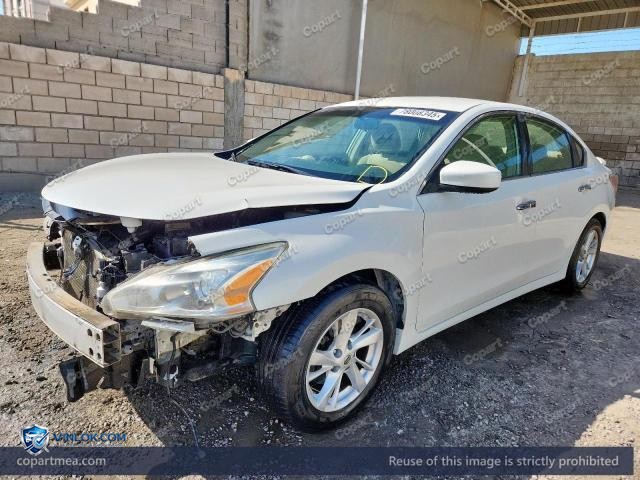 Auction photo