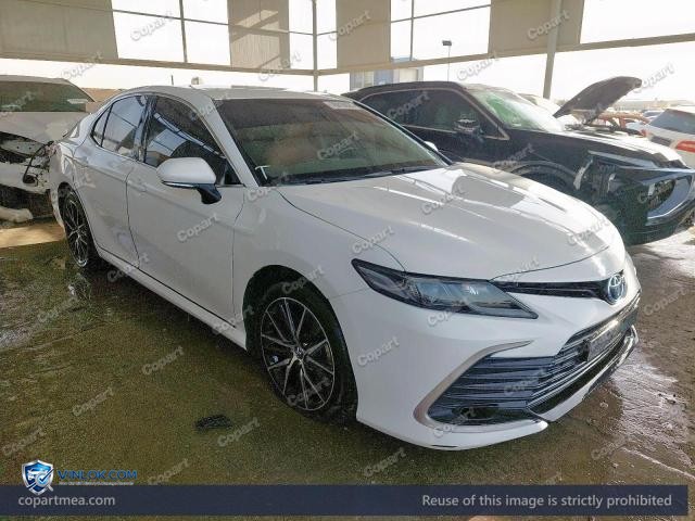 Auction photo