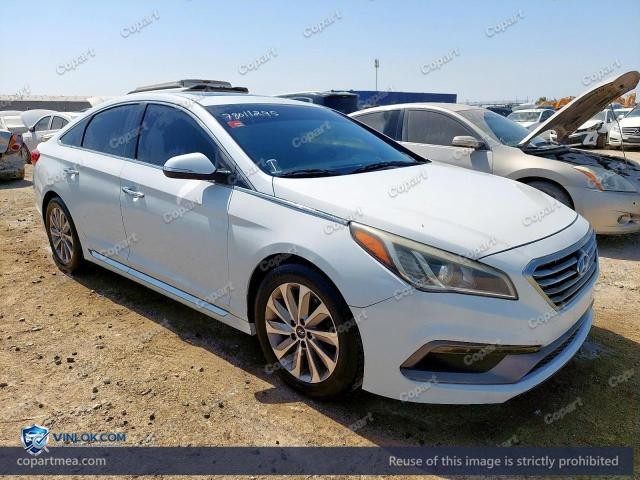 Auction photo