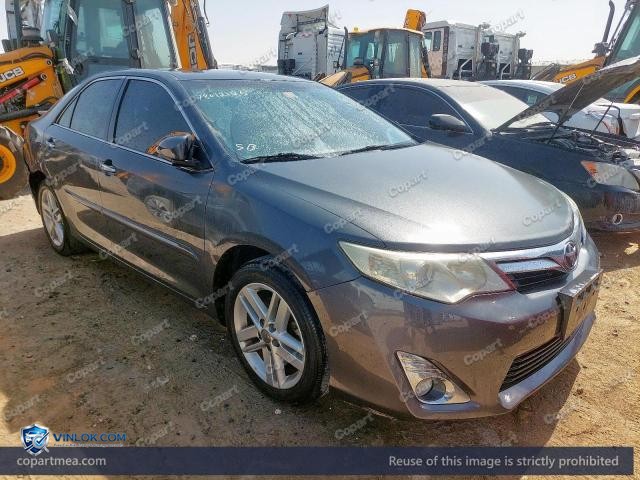 Auction photo