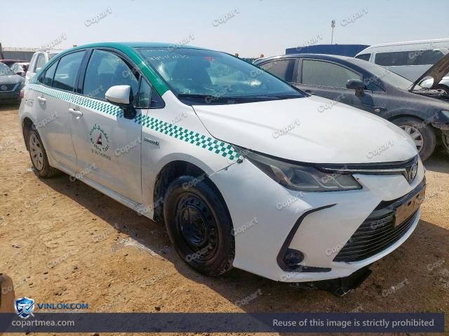 Auction photo