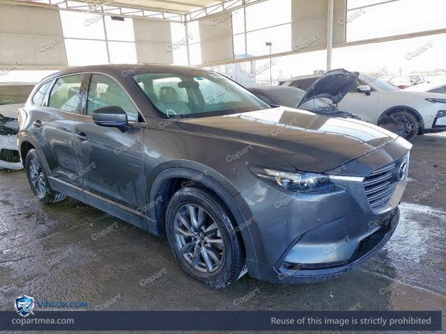 Auction photo