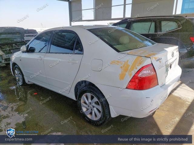 Auction photo