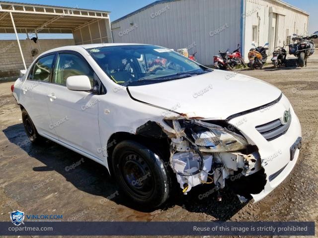 Auction photo