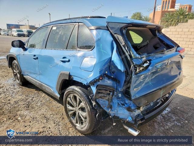 Auction photo