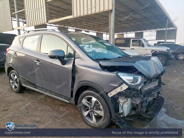 Auction photo