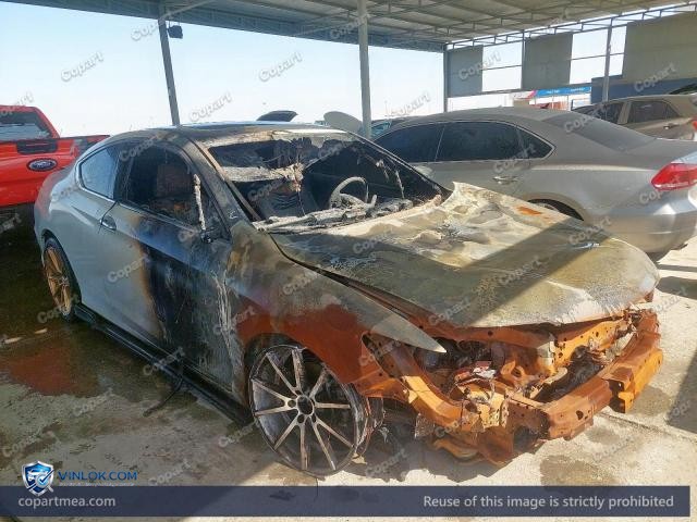 Auction photo