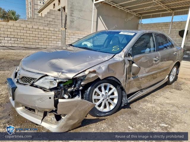 Auction photo