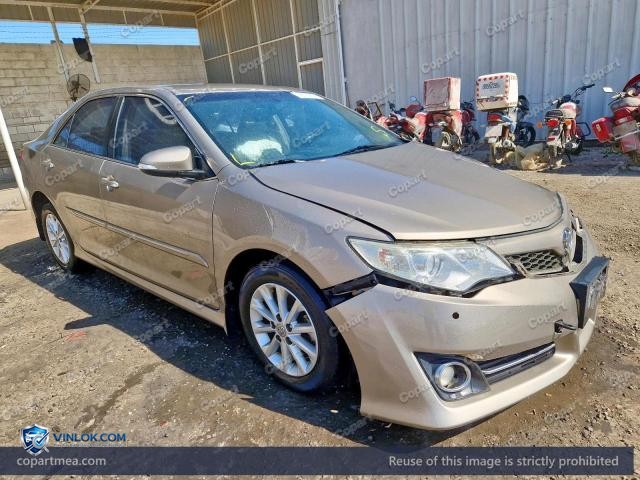 Auction photo