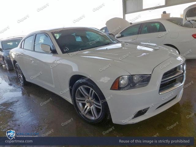 Auction photo