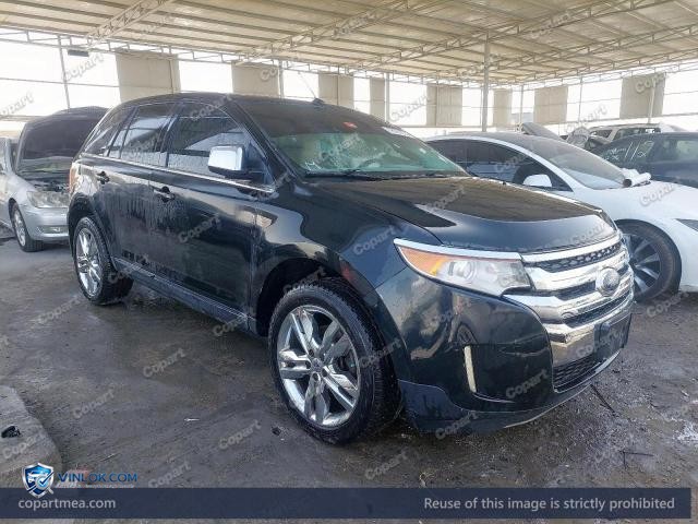 Auction photo