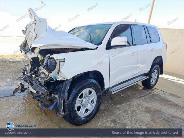 Auction photo