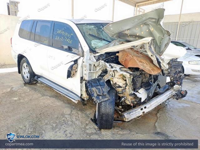 Auction photo