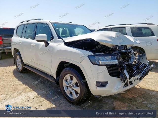 Auction photo