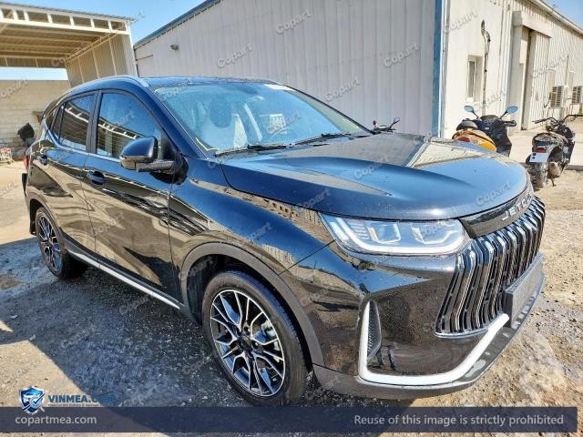 2025 JETO X50 — Lot 78194865 auction photo