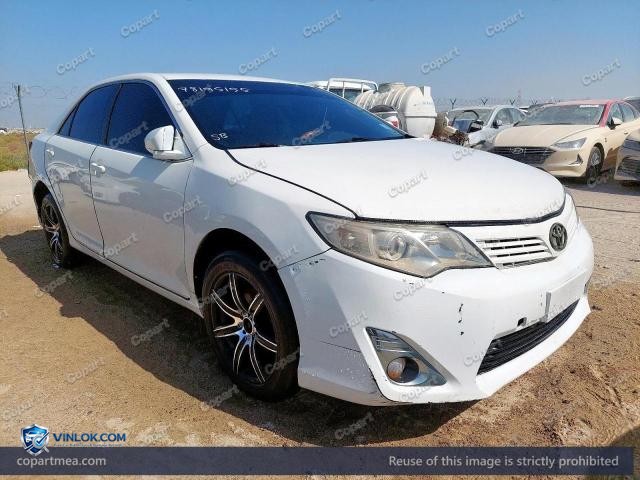 Auction photo