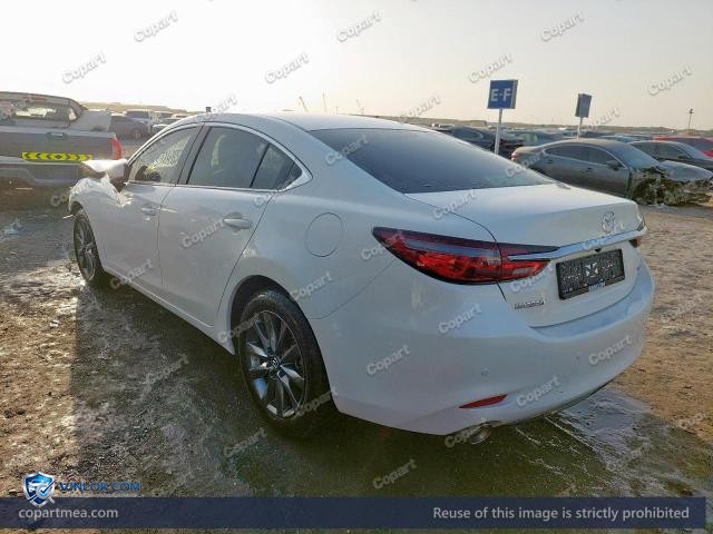 Auction photo