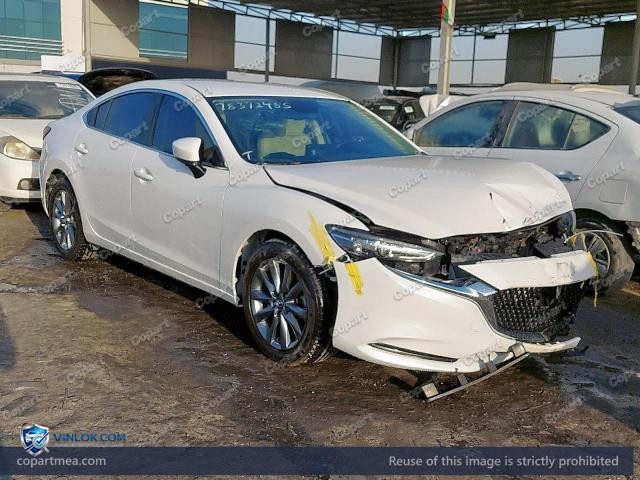 Auction photo