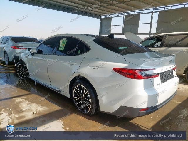 Auction photo