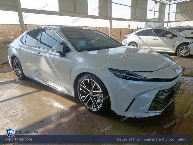 Auction photo