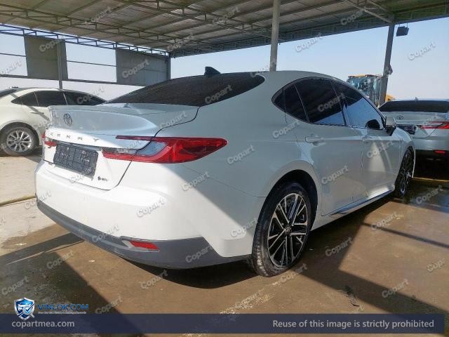 Auction photo