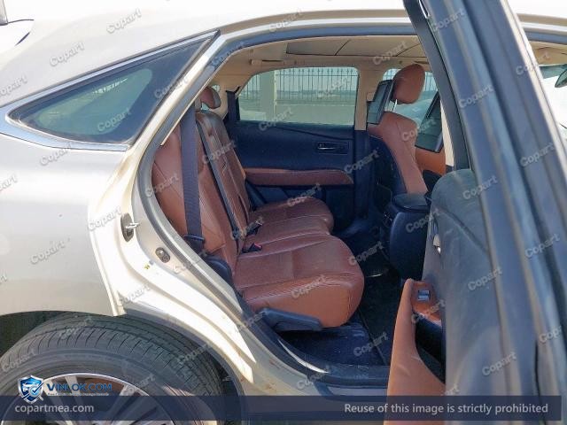 Auction photo