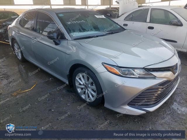 Auction photo