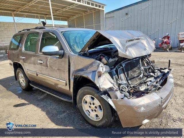 Auction photo