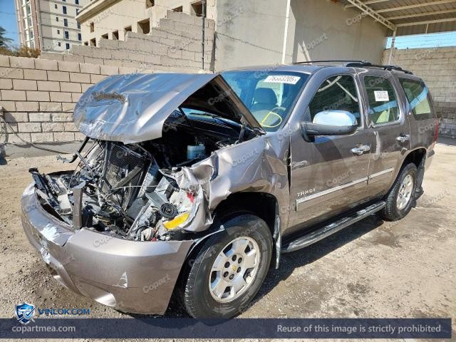 Auction photo