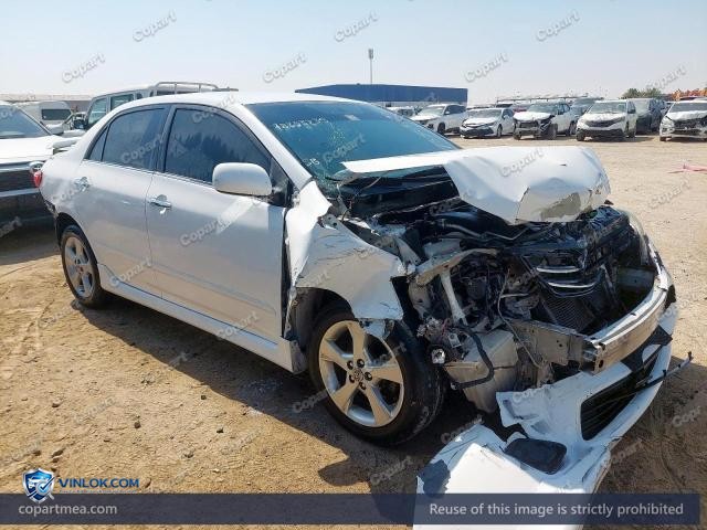 Auction photo