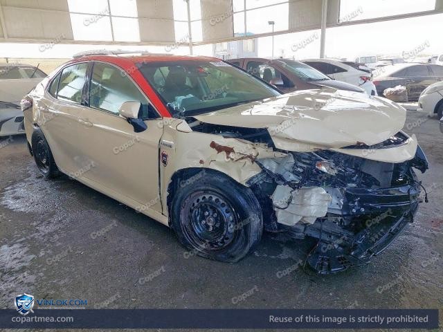 Auction photo