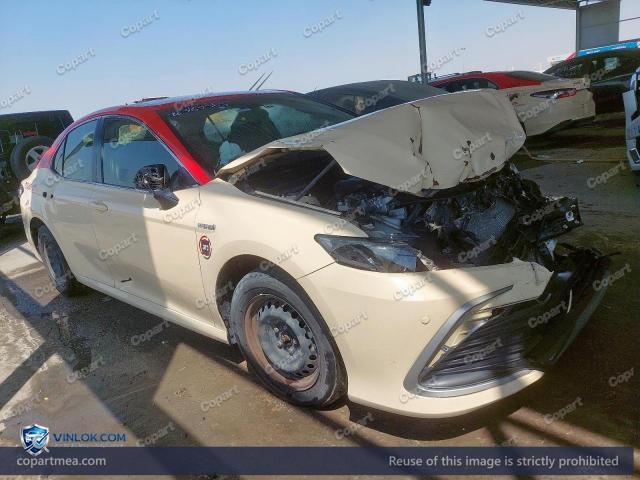 Auction photo