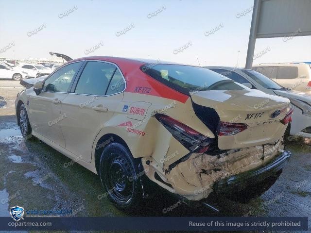 Auction photo