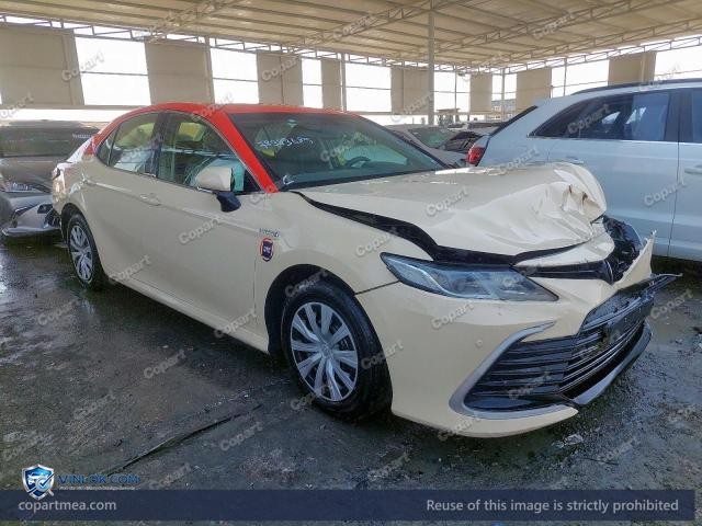 Auction photo