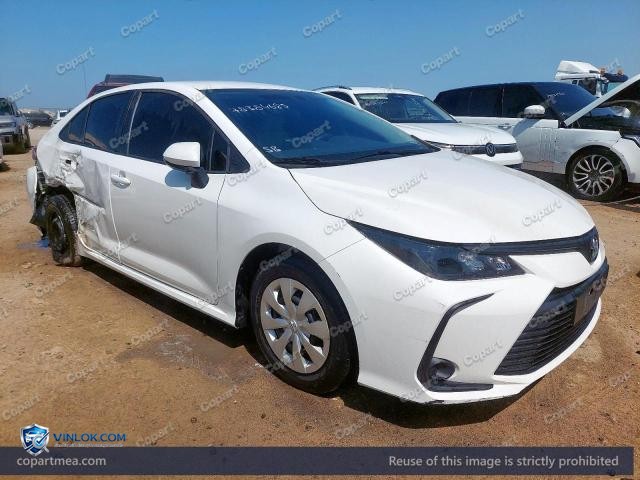 Auction photo